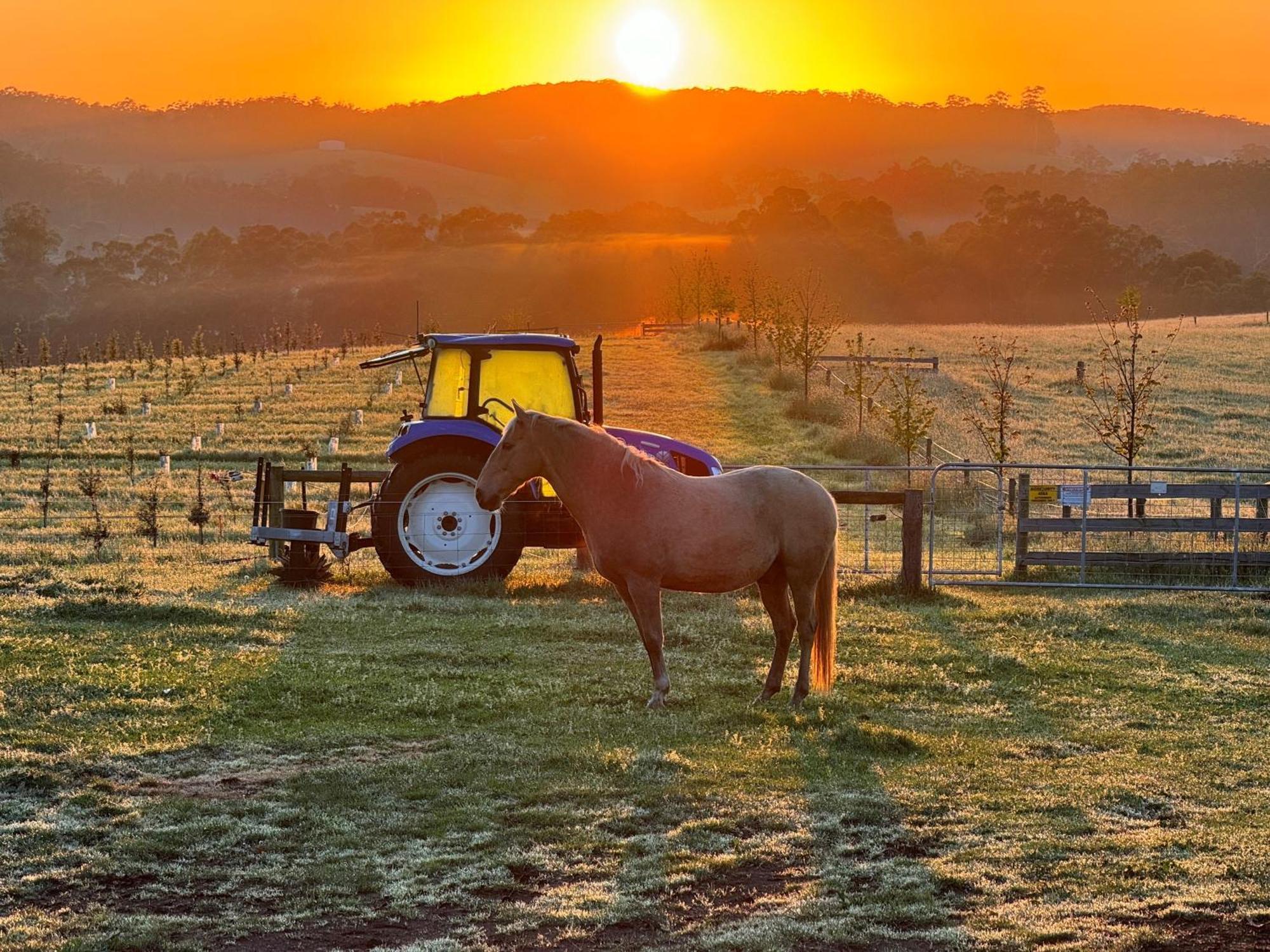 Wake Up To Stunning Views - Luxury Summer Escape By Scotch Hill Truffle Farm Hotel Neerim South Buitenkant foto