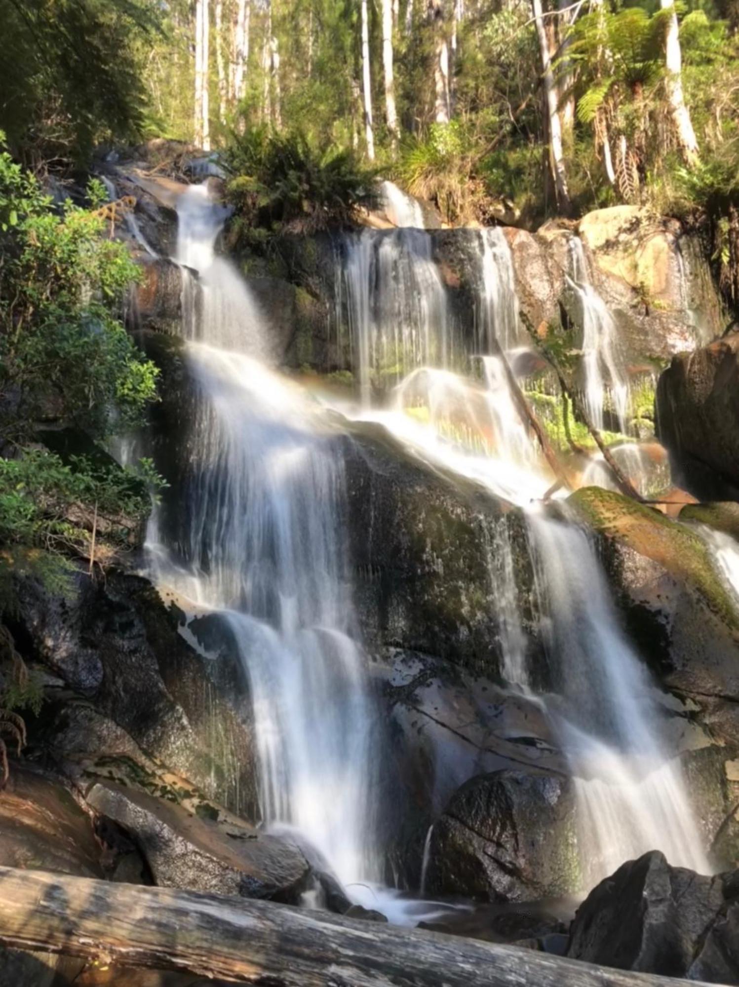 Wake Up To Stunning Views - Luxury Summer Escape By Scotch Hill Truffle Farm Hotel Neerim South Buitenkant foto