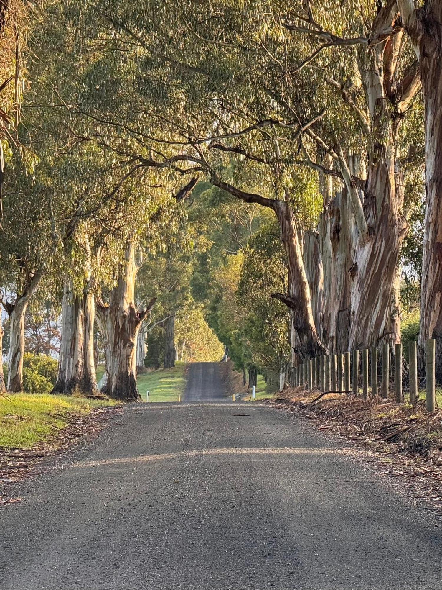 Wake Up To Stunning Views - Luxury Summer Escape By Scotch Hill Truffle Farm Hotel Neerim South Buitenkant foto