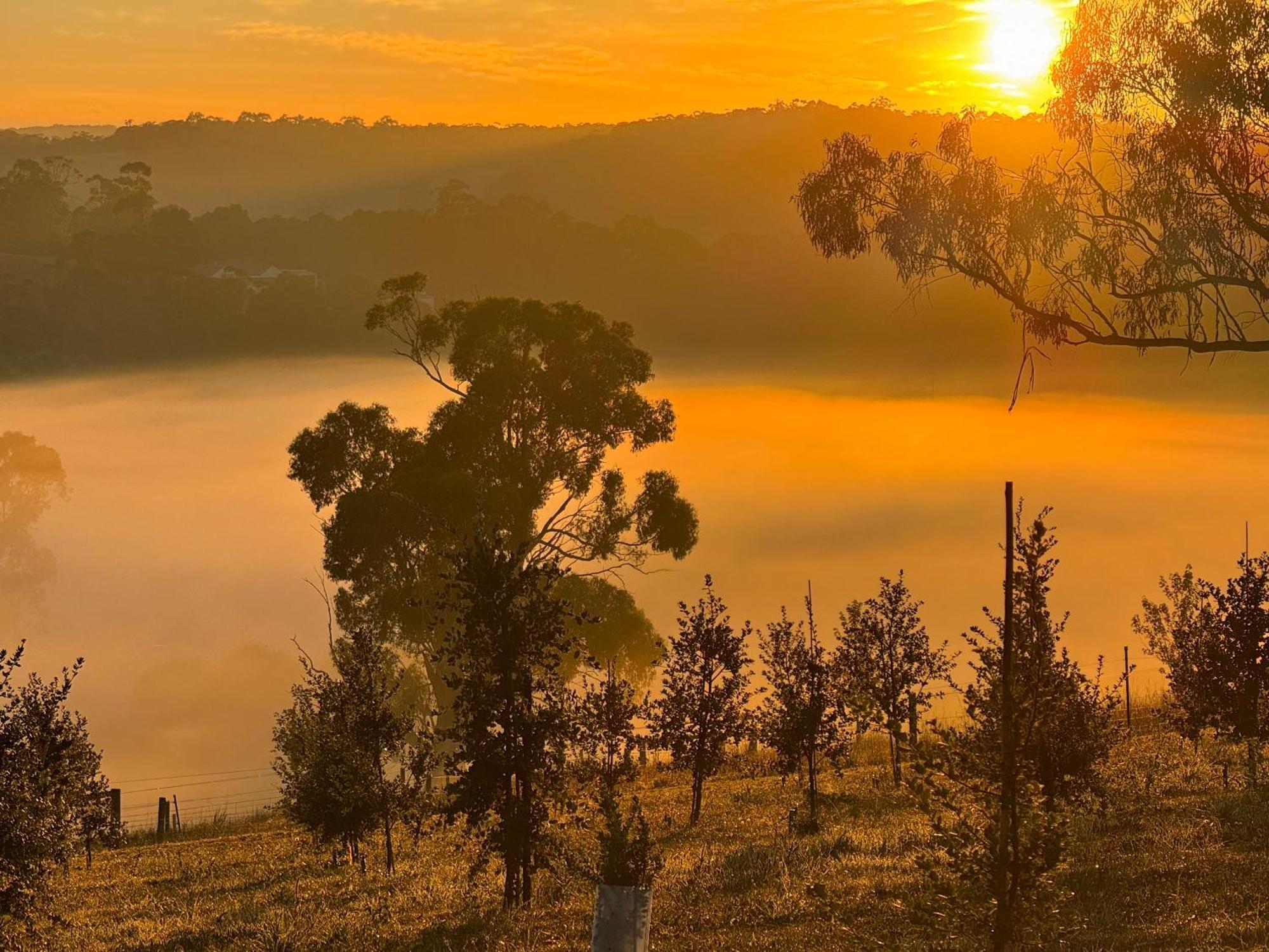 Wake Up To Stunning Views - Luxury Summer Escape By Scotch Hill Truffle Farm Hotel Neerim South Buitenkant foto