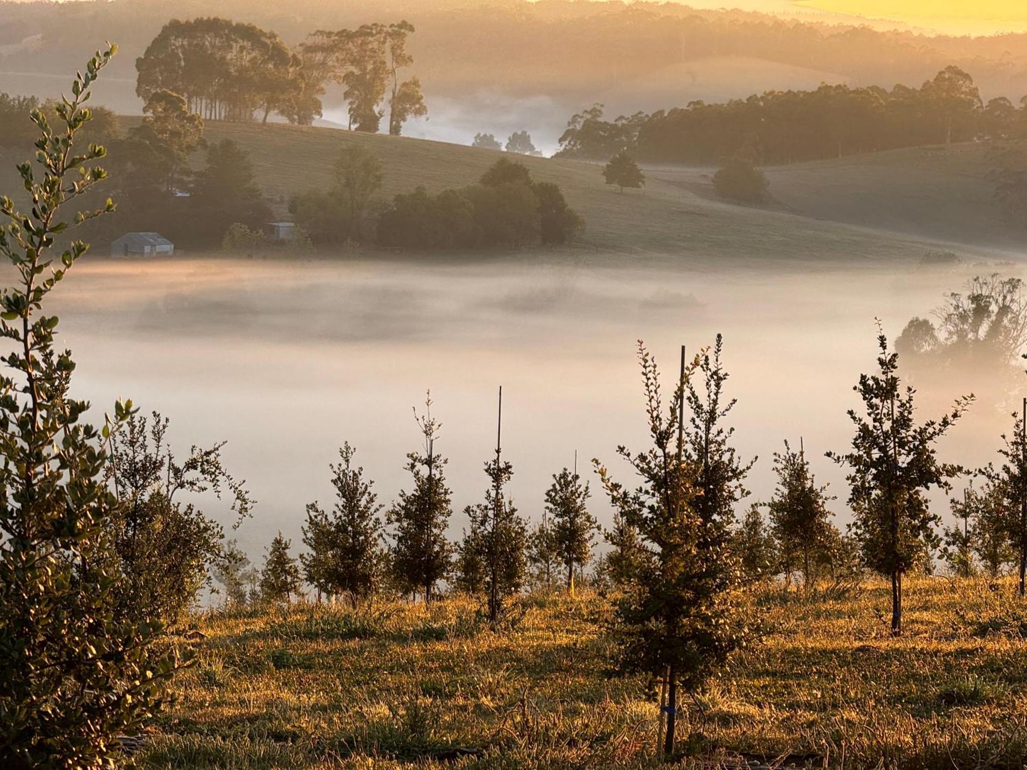 Wake Up To Stunning Views - Luxury Summer Escape By Scotch Hill Truffle Farm Hotel Neerim South Buitenkant foto