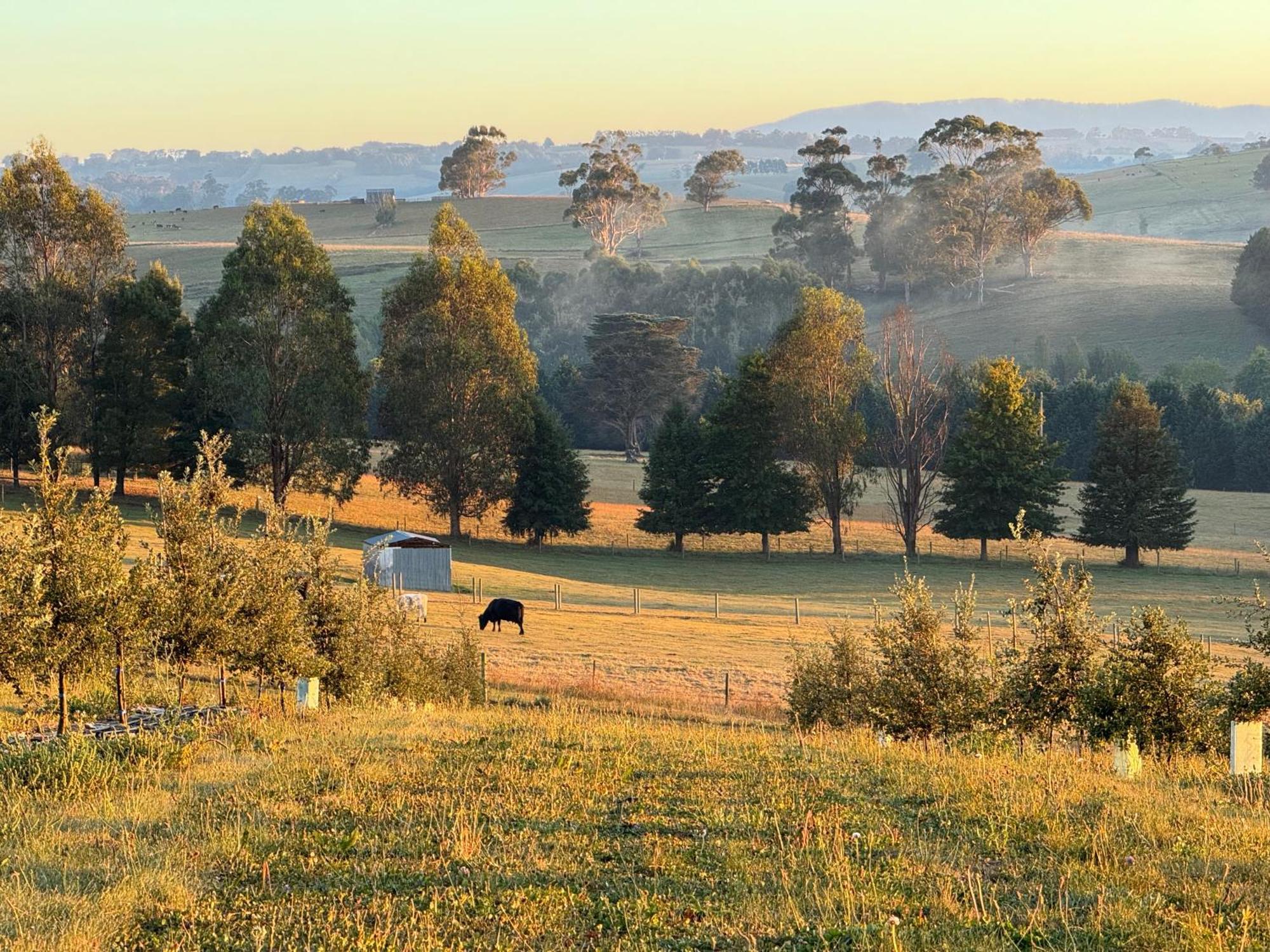 Wake Up To Stunning Views - Luxury Summer Escape By Scotch Hill Truffle Farm Hotel Neerim South Buitenkant foto